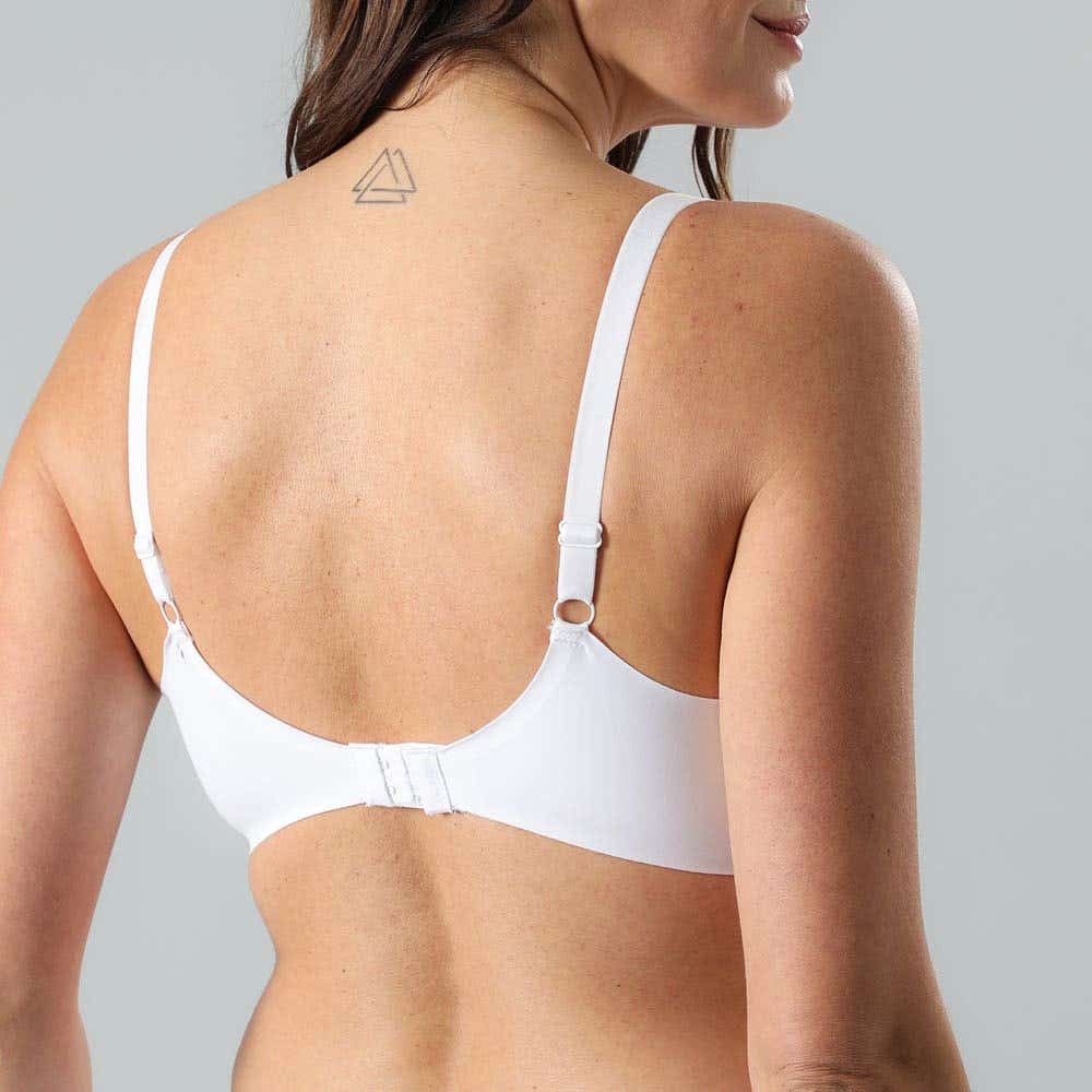 https://www.tiendaflores.cl/media/catalog/product/1/3/13104-1_2_ga0nbwveulx25c6q_vi0adbvqkdiexfqo.jpg