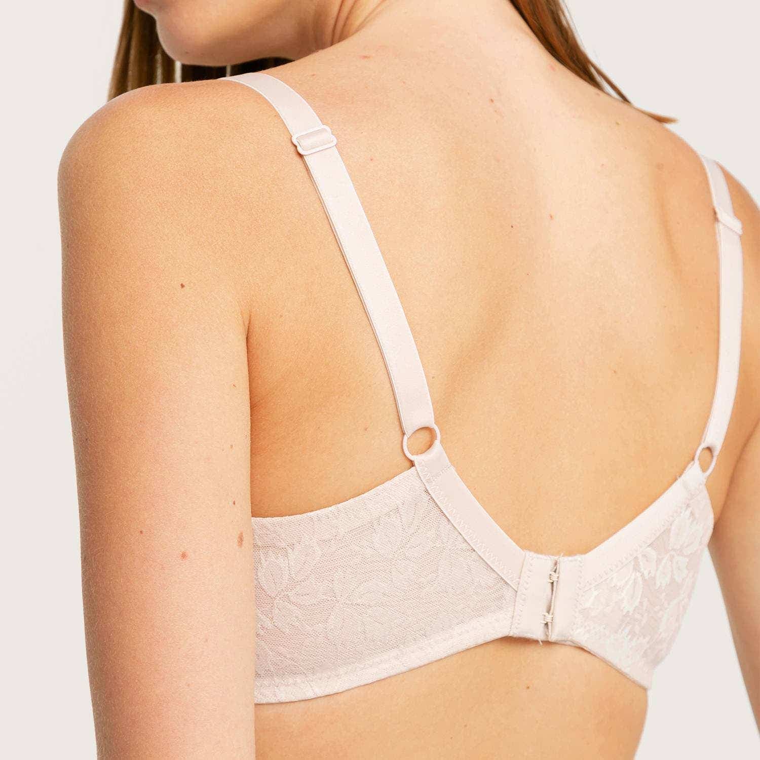 https://www.tiendaflores.cl/media/catalog/product/1/3/13134-97_3_rltnjyz2cljc96tj_21mgbhyynwcnjub7_4tgewy3vwshej6da.jpg