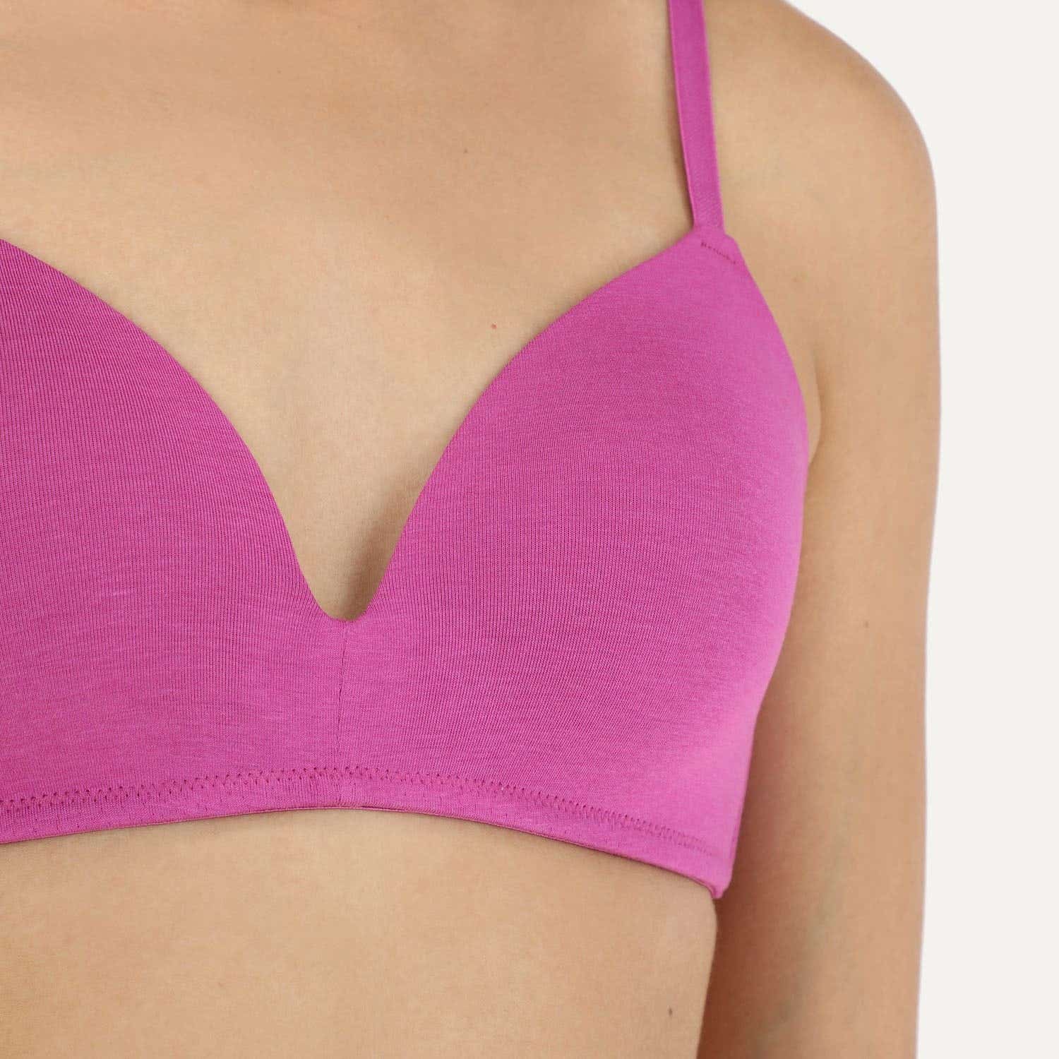 https://www.tiendaflores.cl/media/catalog/product/2/4/24840-161-11_gvtq8stuv4t0bvbv_ugqznouim0en7lrl_xyoje1ggrg7tfzap.jpg