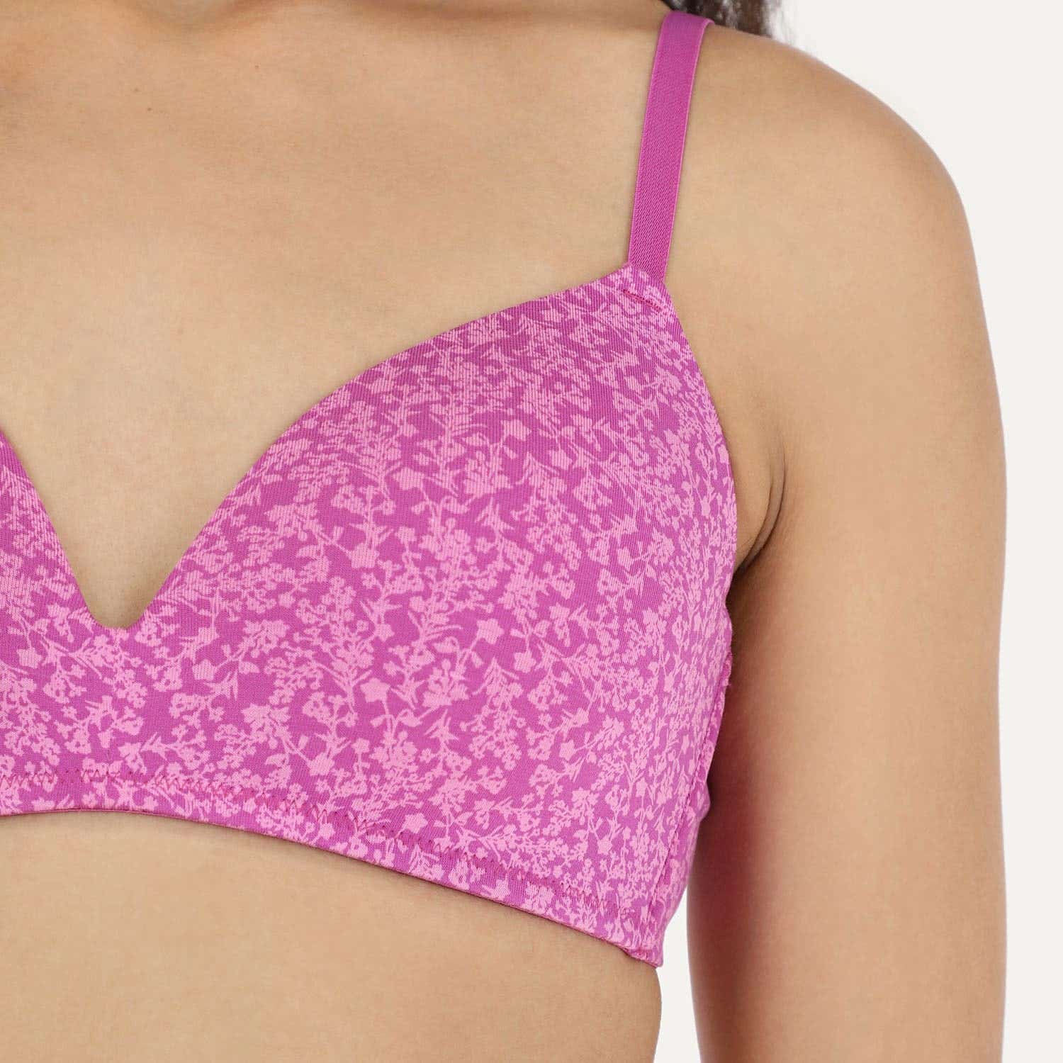 https://www.tiendaflores.cl/media/catalog/product/2/4/24840-161-6_zppyodsxukxccixq_nodmv3lm5intkgfk_qdf4hzpg19h4klto.jpg