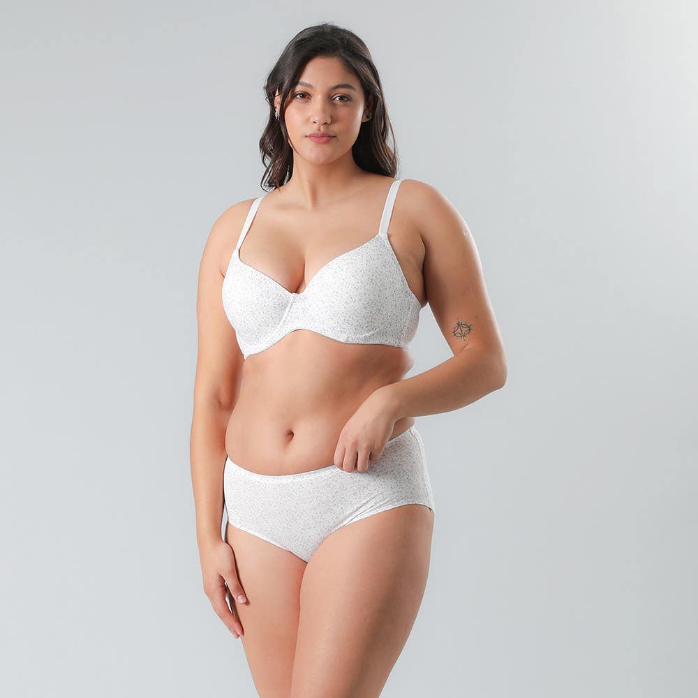 https://www.tiendaflores.cl/media/catalog/product/2/5/25021-1_4_0ijwlnnsfw0gwitf.jpg