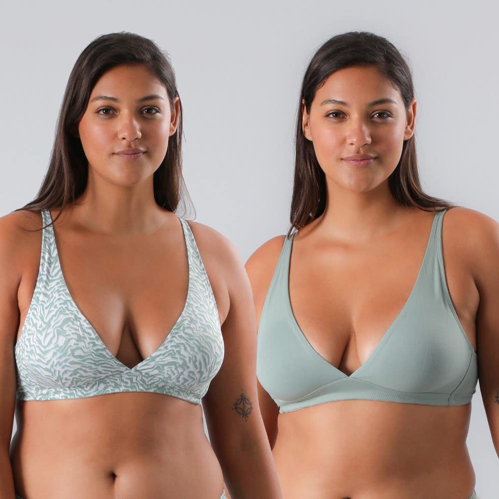 https://www.tiendaflores.cl/media/catalog/product/2/5/25113-194_1_w64juxrdprlt0xfp.jpg