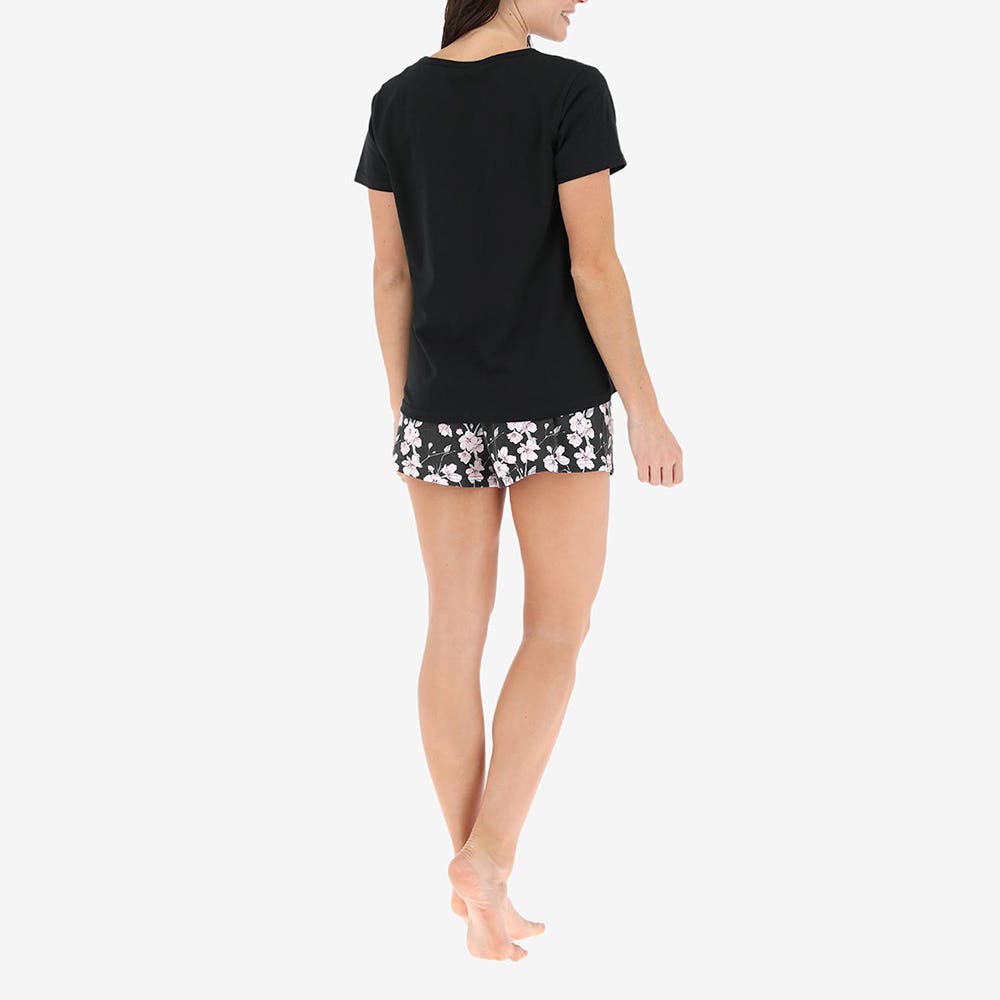 https://www.tiendaflores.cl/media/catalog/product/3/2/32802-2_3_22qpkqf3uyrthhvq_n8wg8i88m8iugned_hoeihsnnrhm2pzn0.jpg