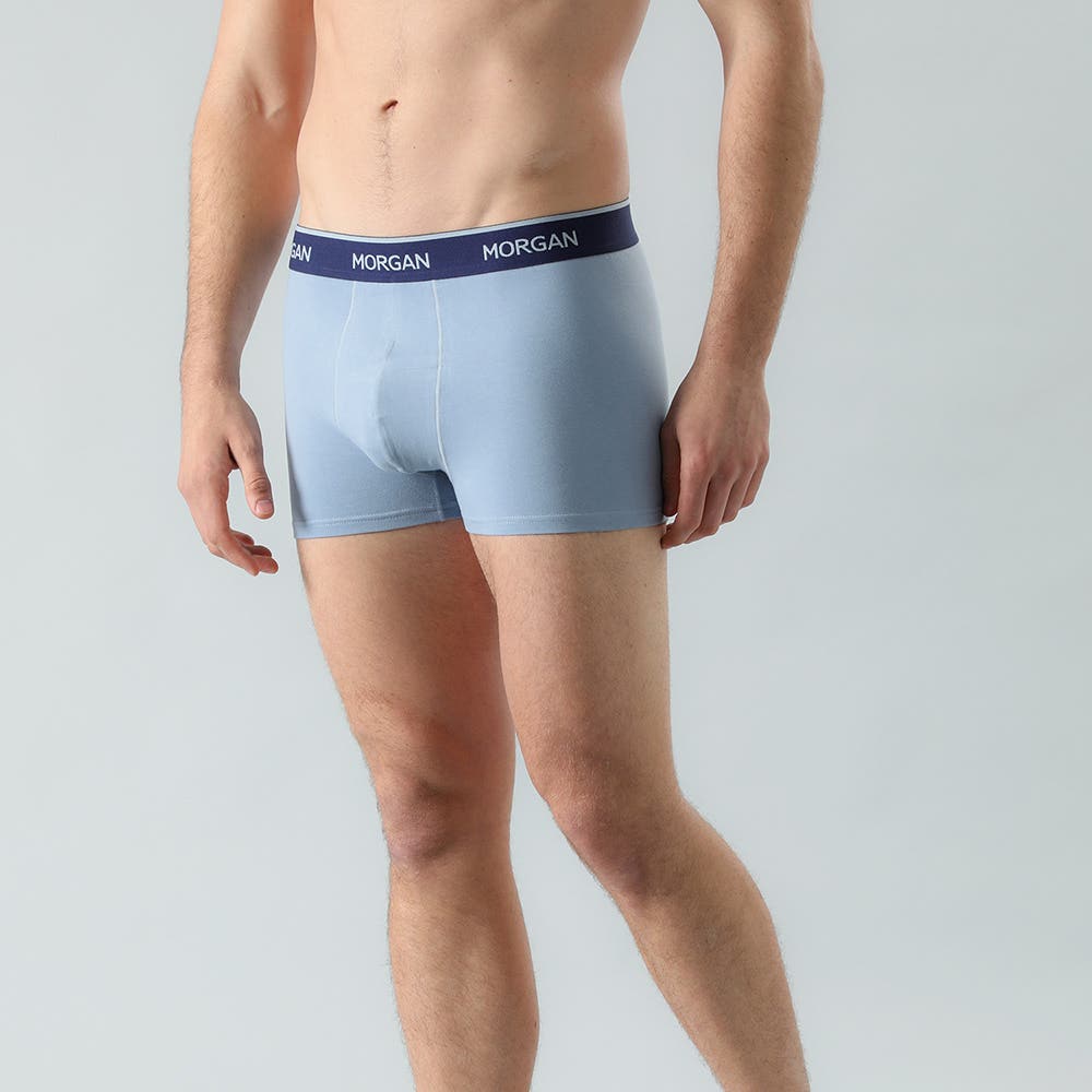 https://www.tiendaflores.cl/media/catalog/product/3/3/33004-18_6_s5ygzbuwpeczipjv.jpg