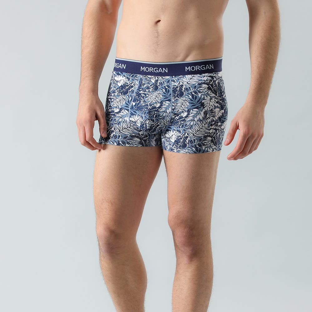 https://www.tiendaflores.cl/media/catalog/product/3/3/33004-18_7_ujvwo5llnx0tlrxl.jpg