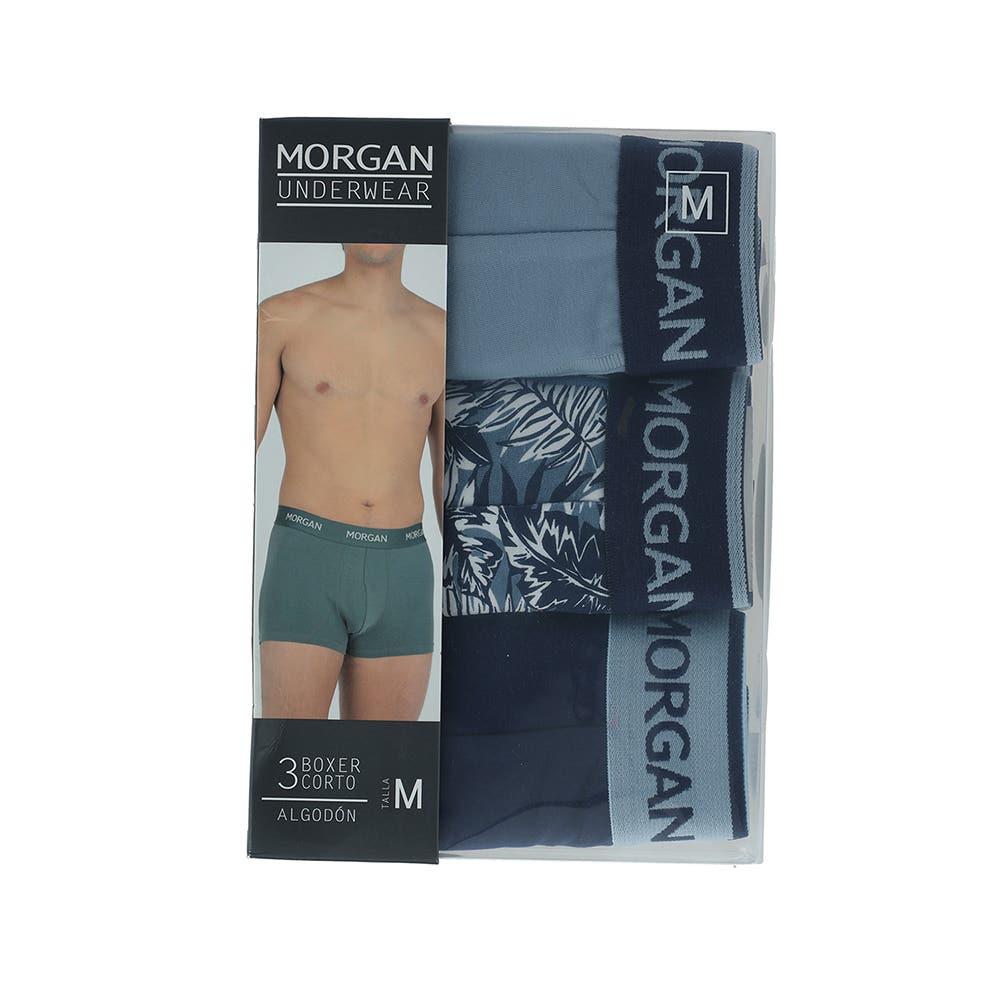 https://www.tiendaflores.cl/media/catalog/product/3/3/33004-azul_1_ngceabhribv2kiqs.jpg