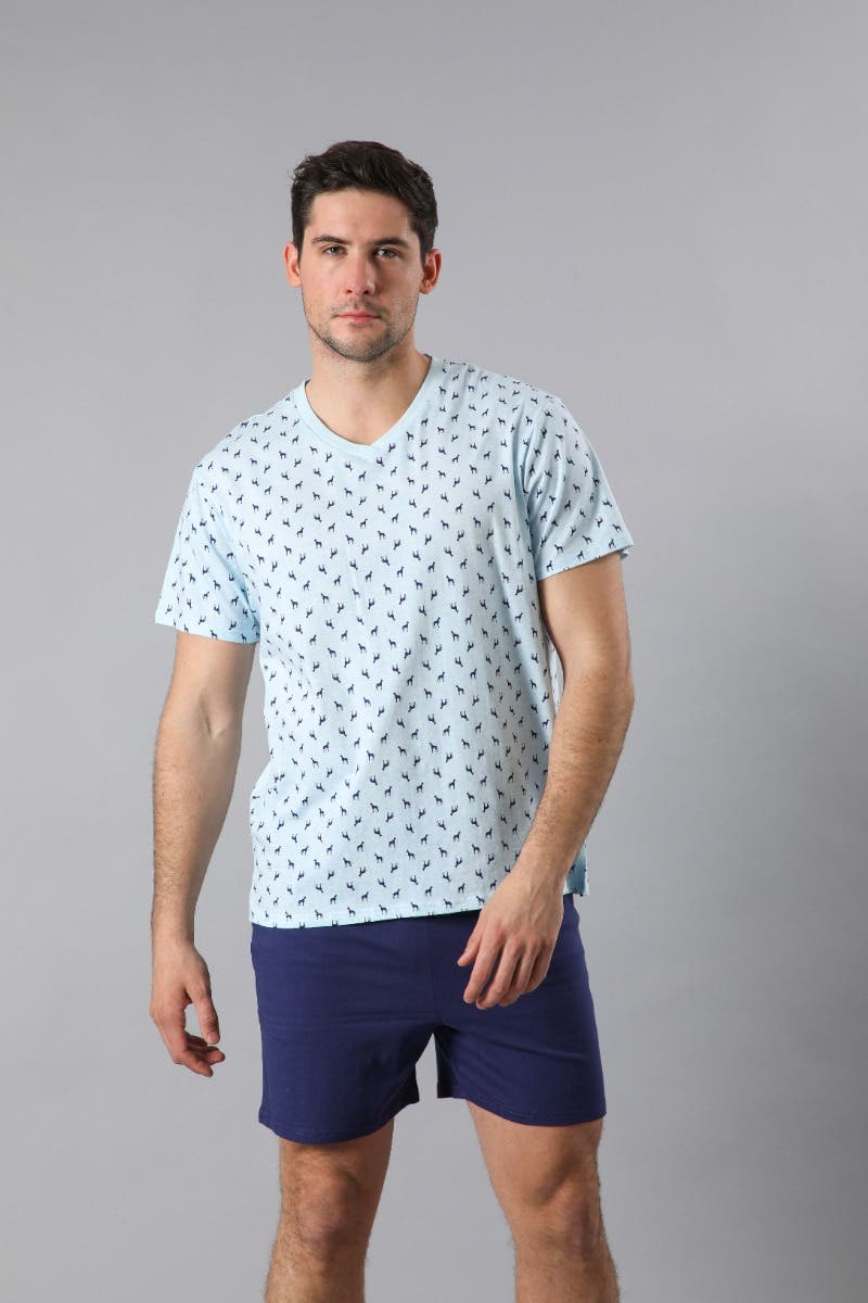 https://www.tiendaflores.cl/media/catalog/product/3/3/33650-14_2.jpg
