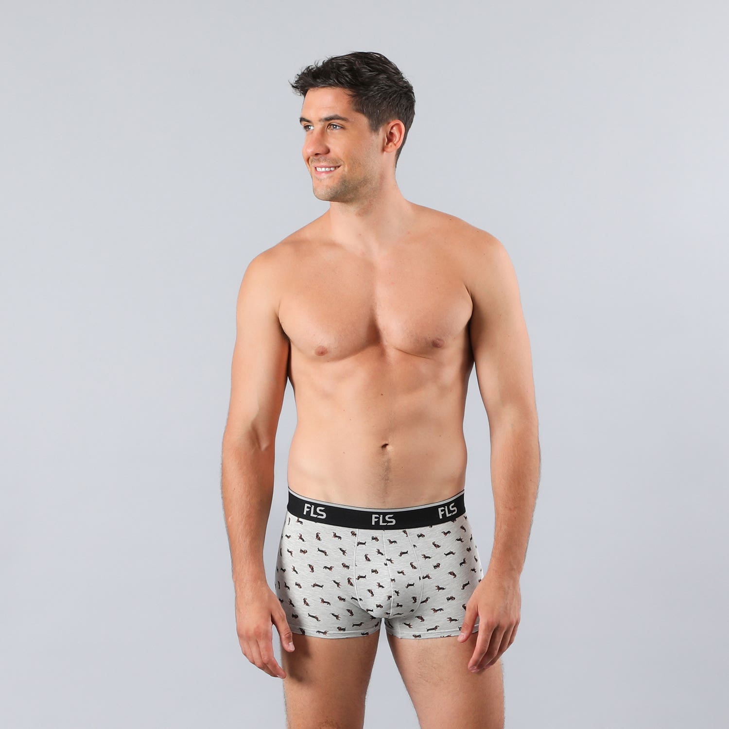 https://www.tiendaflores.cl/media/catalog/product/3/3/33803-2_2_rzcmdglvucdrvjfk.jpg