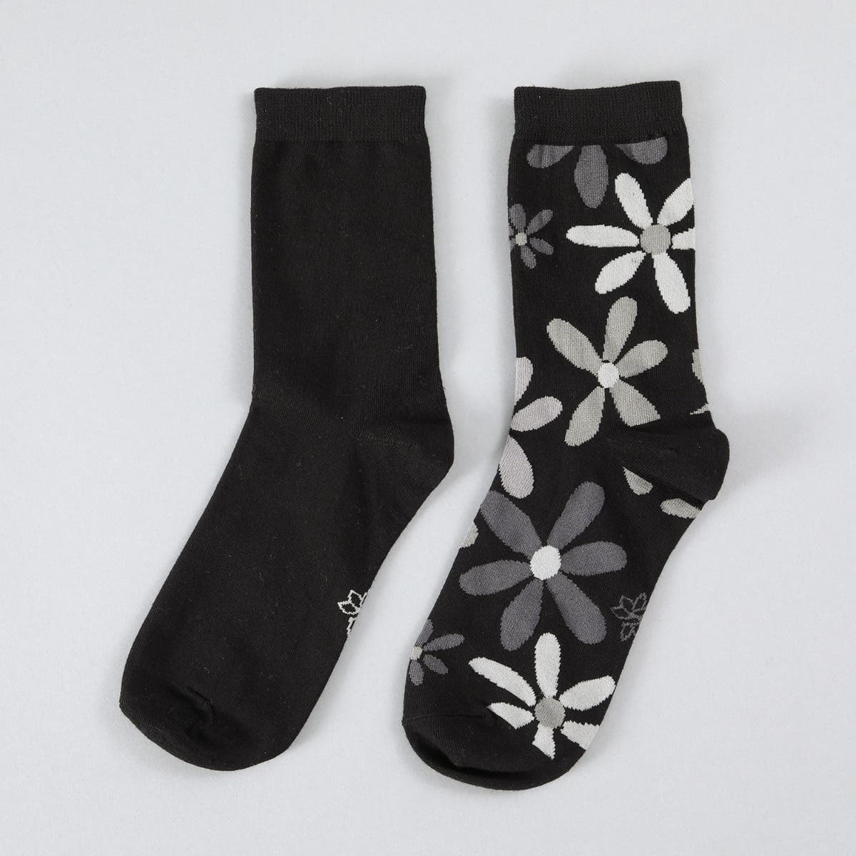 https://www.tiendaflores.cl/media/catalog/product/5/0/50765-2_2.jpg